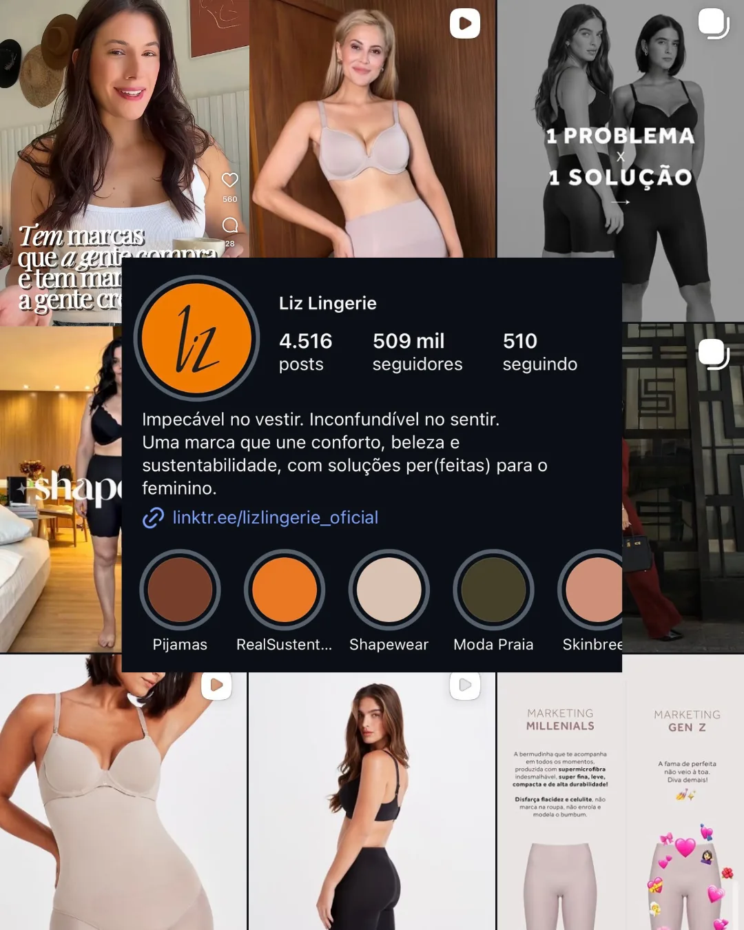 Liz Lingerie — trabalho de Daiane Tavares
