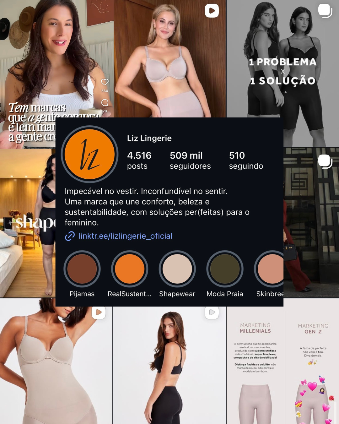 Liz Lingerie — trabalho de Daiane Tavares